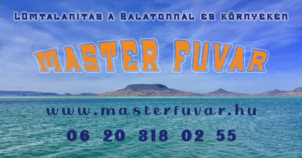 Lomtalanítás Fonyód - Master Fuvar